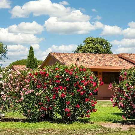 Gitavillage California-2