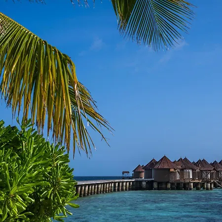 Nika Island Resort & Spa, Maldives-3