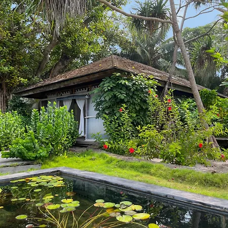 The Barefoot Eco Hotel-3
