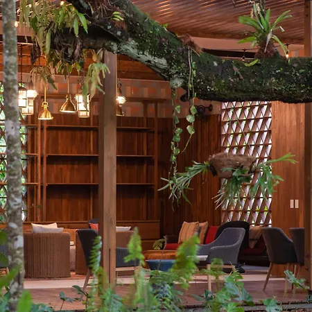 Botanika Osa Peninsula, Curio Collection By Hilton-2