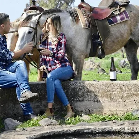 Kibbutz Ortal Tourism-2