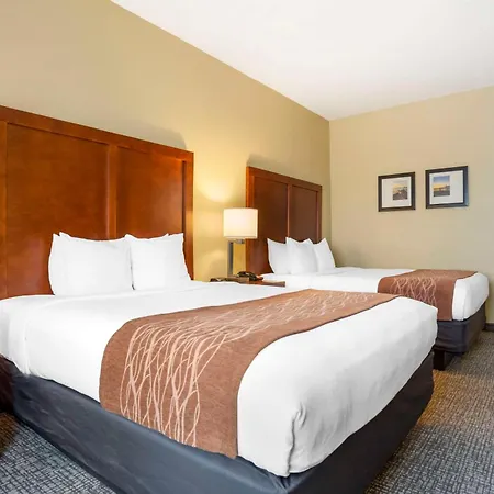 Comfort Inn & Suites Daphne Spanish Fort - Mobile East-2