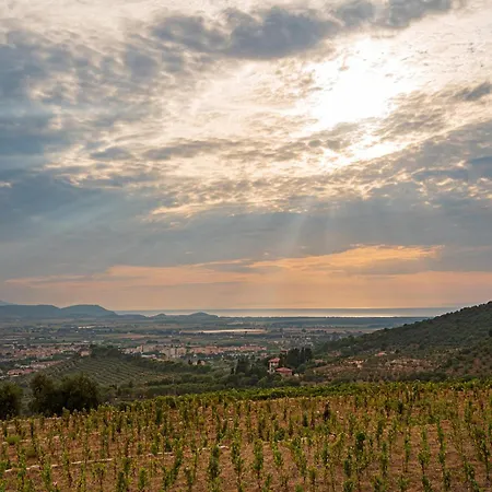Castello Bonaria Wine & Spa Resort-2