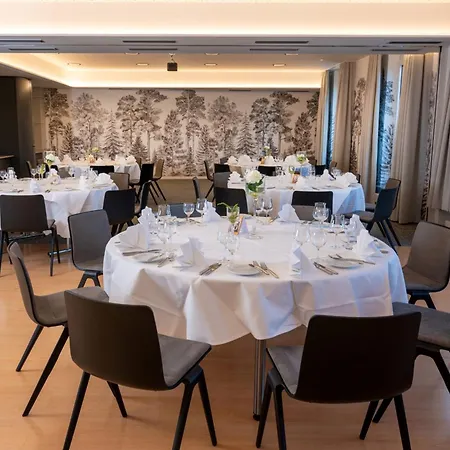 Erikson Hotel-2