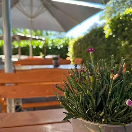 Hotel Schultheiss Hameln-2