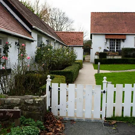 The Penrallt Country House Hotel-3