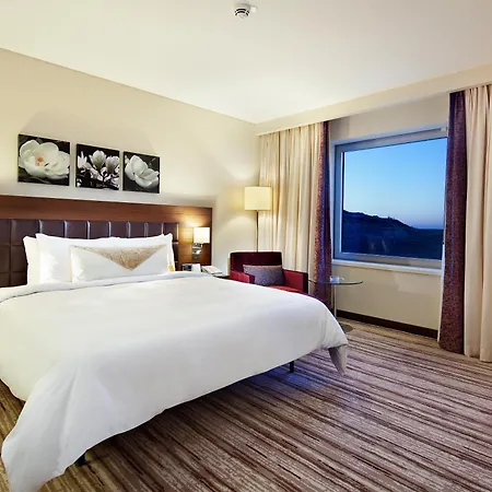 Hilton Garden Inn Mardin-2