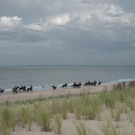 De Eenhoorn-3