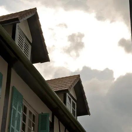 Colmar Tropicale-2