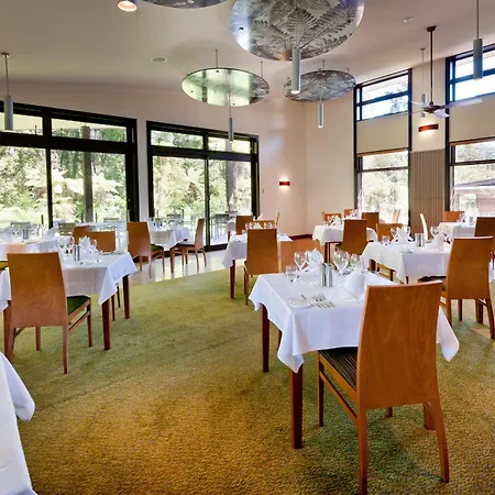Legacy Te Waonui Hotel Franz Josef-2