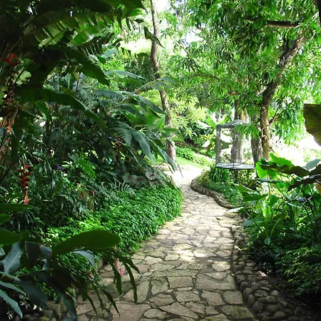 Los Almendros de San Lorenzo-2