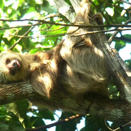 Gamboa Rainforest Reserve-2