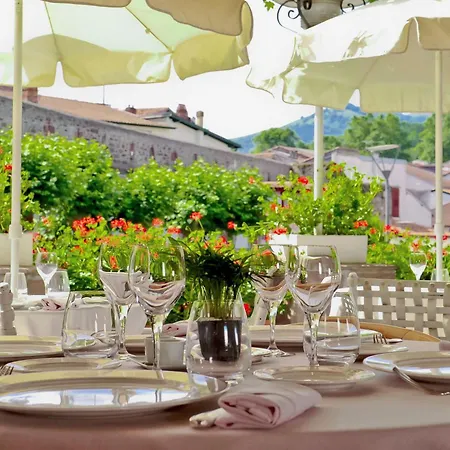 Hotel Des Pyrenees-3