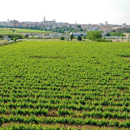 Mastinell Cava & Boutique Hotel By Olivia Hotels Collection-2