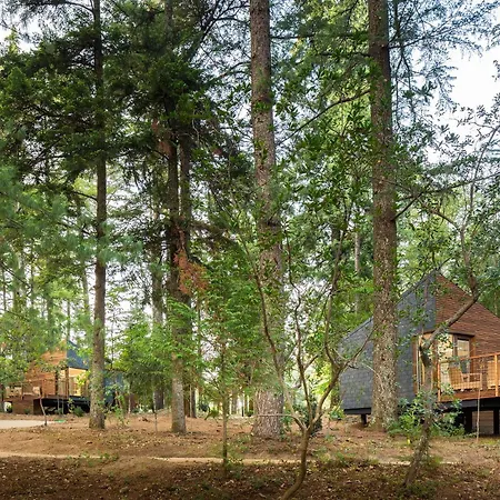 Pedras Salgadas Spa & Nature Park-3