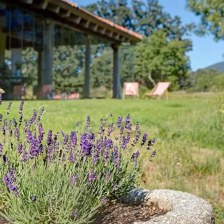 Finca Fuente Techada - Adults Only-3