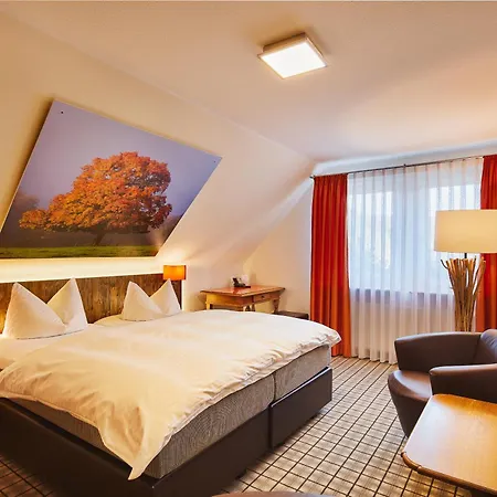 Romantikhotel Platte-2