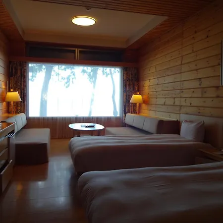Grand Park Hotel Okubiwako Makino-2