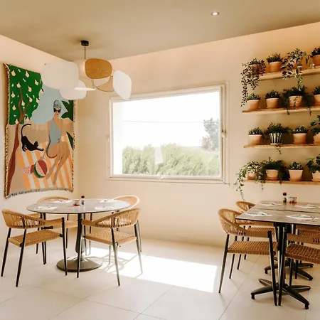 Soko Hotels-Pont du Gard-3