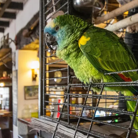 The New Inn-2