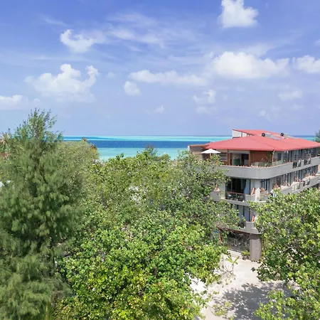 Ayala Oceanview Maldives-2