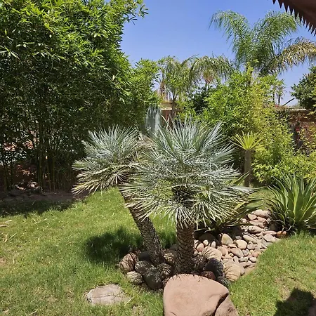 Eden Lodges & Spa-Boutique Hotel De Luxe-3