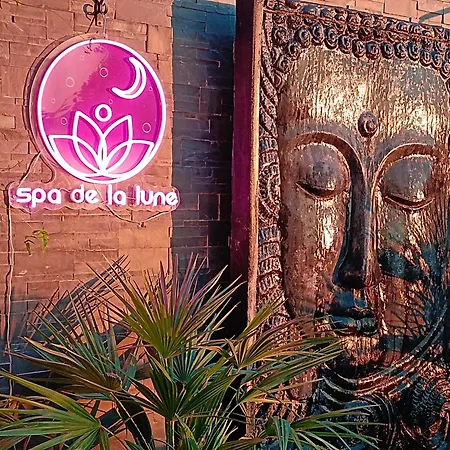 Spa De La Lune - Private Love Room Suite With Terrace And View - Air Conditioned- Double Jacuzzi - Sauna - King Size Bed - Free Wifi - Free Parking - Free Breakfast - Close To Cdg Airport And To The North Of Paris-2