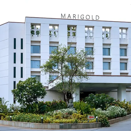 Marigold Hotel-3