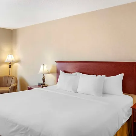 Quality Inn & Suites Edmonton International Airport-2