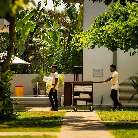 The Thinnai Hotel - Jaffna-3