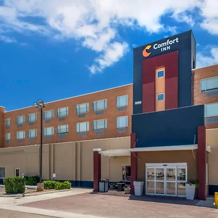 Comfort Inn Portales-3
