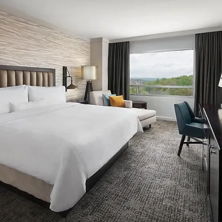 The Westin Baltimore Washington Airport - BWI-2