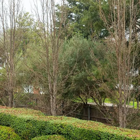 Springs Mittagong-3