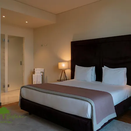 Olive Nature Hotel & Spa - Quinta Valle De Passos-3