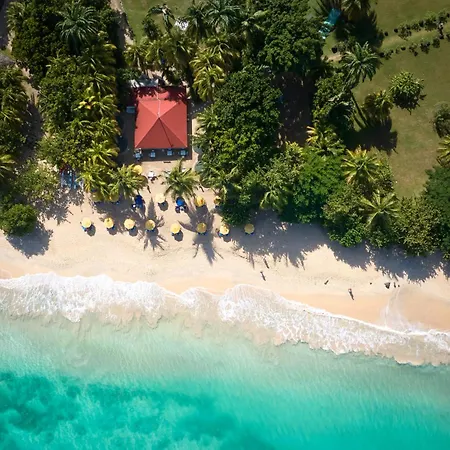 Mount Cinnamon Beach & Wellness Resort-3
