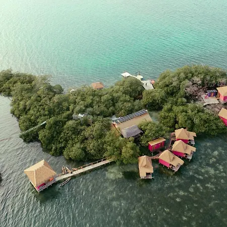 Urraca Monkey Island Eco Resort (Adults Only)-3