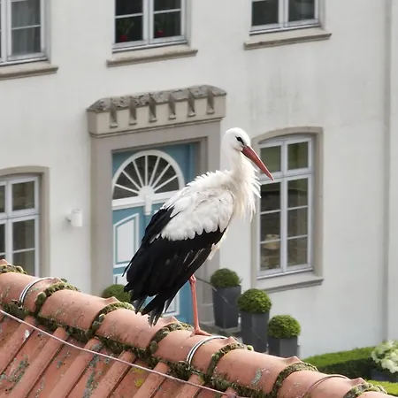 Hotel&Gästehaus Gut Kaden-3