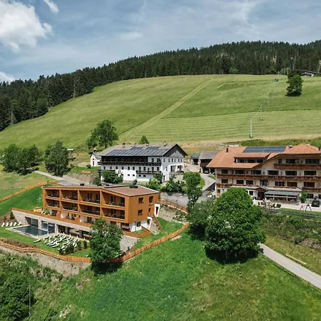 Hotel Schopfenhof-3