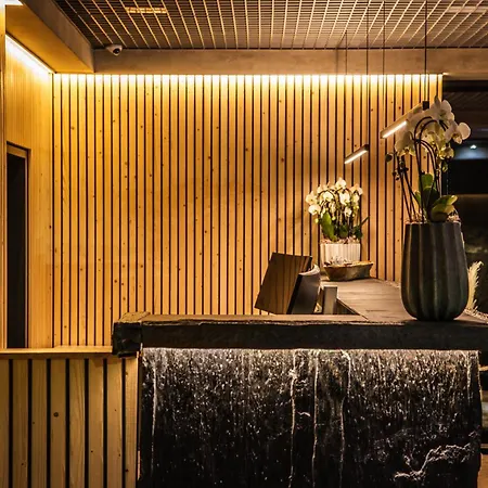Das Erz Medical Spa & Hotel-3