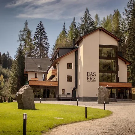 Das Erz Medical Spa & Hotel-2