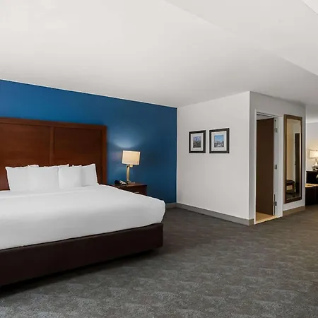 Comfort Inn & Suites Near Tinley Park Amphitheater-2