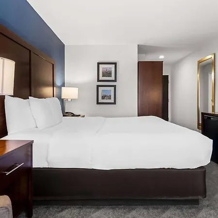 Comfort Inn & Suites Near Tinley Park Amphitheater-3