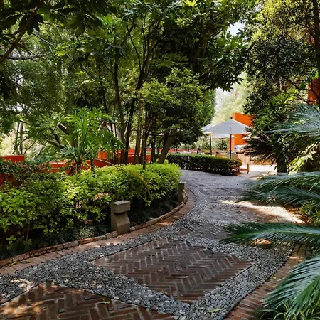 Hotel Rancho San Diego Grand Spa Resort-2