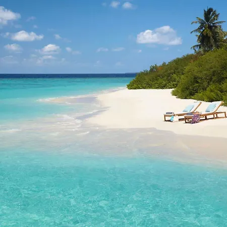 Dusit Thani Maldives - 50 Percent Off On Transfers For Stays Of 5 Nights Stay Until 20 December 2026-2