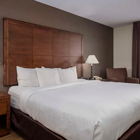 Comfort Inn - Gander-2