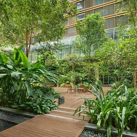 The Singapore Edition-3