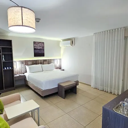 Aruba Boutique & Art Hotel - Adults Only-3