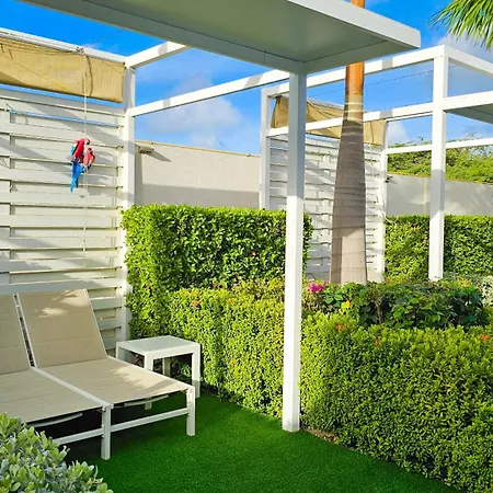 Aruba Boutique & Art Hotel - Adults Only-2