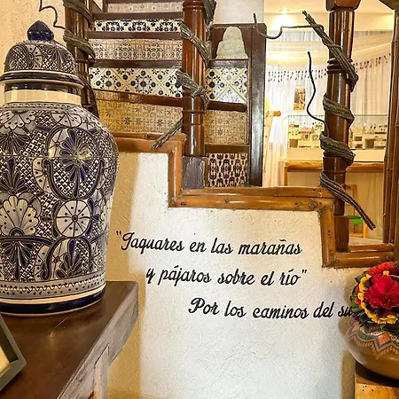 Casa Jaguar Hotel Boutique&Galería-2