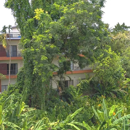 Garden Palace Downtown Koror-2